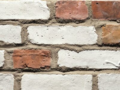 Product Image for Century Mosaic Heritage brick veneer 