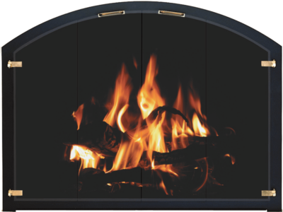 Product Image for Stoll Totalview fireplace door 