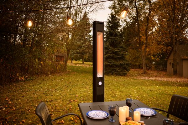 Napoleon NEOFV80IH outdoor electric heater